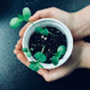 Meet your Posher, Tara